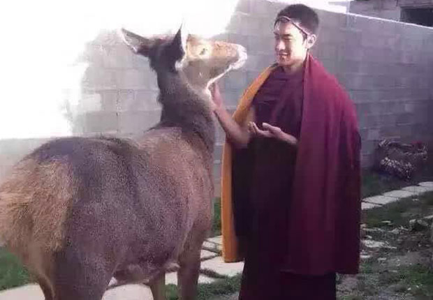 Jampal-Gyatso